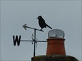Image for Bird, Radford Road, Radford, Worcestershire