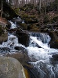Image for Bent Run Waterfalls - Allegheny National Forest - near Warren, Pennsylvania