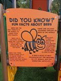 Image for Did You Know?  Fun Facts About Bees - Pecan Orchard Park - Flower Mound, TX