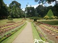 Image for Royal Botanical Gardens, Peradeniya, Sri Lanka