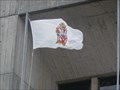 Image for Municipal Flag - City of St. John's, Newfoundland and Labrador