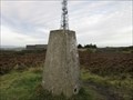 Image for O.S. Triangulation Pillar - Brimmond Hill, Aberdeen.