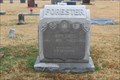 Image for W.W. Forester - Gunter Cemetery - Gunter, TX