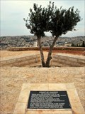 Image for Mount Precipice/Mount Kedumim - Nazareth, Israel