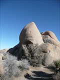 Image for Skull Rock - Joshua Tree Natl Park
