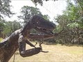 Image for Fantacy Dinosaur - Wimberley, TX