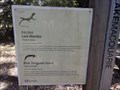 Image for Lizards - Lake Macquarie - Murrays Beach, NSW, Australia