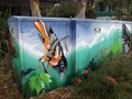 Image for Wanderer Butterfly & Bird, Byron Bay, NSW, Australia