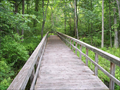 Image for Huckleberry Swamp Boardwalk - North Rose, New York