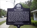 Image for Micanopy