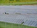 Image for Solar plants nearly complete in Reed Point and Hardin