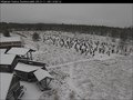 Image for The Silent People - Webcam, Finland