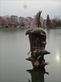 Image for Dolphins - Böblingen, Germany, BW