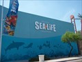 Image for Arizona Sea Life Aquarium