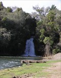 Image for Whirinaki River - Wheelchair Trout Fishing. North Is. New Zealand.