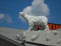 Image for Hakim Polar Bear - London, Ontario