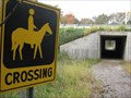 Image for Horse "Crossing" - Crooked Creek Woods, Palos Hills, IL