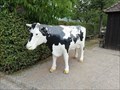 Image for Cow - Mudenhof Freiburg, Germany, BW