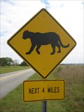 Image for Florida Panther Crossing