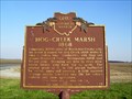 Image for Hog-Creek Marsh :  Marker #1-33