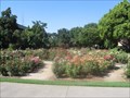 Image for George Petersen Rose Garden - Chico, CA