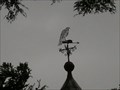 Image for Bird of Prey Weathervane - Gower Road, Trefriw, Conwy, North Wales, UK