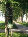 Image for Kapelboom Bevende Hazelaar - Waarschoot, Flanderen