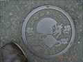Image for Designed Kintaro manhole in Ashigara - Kawanaga, JAPAN