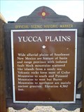 Image for Yucca Plains & Yucca - New Mexico's State Flower