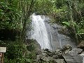 Image for La Coca Falls-El Yunque National Forest - Rio Grande PR