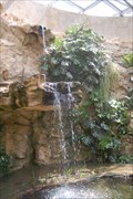 Image for Fern Grotto Waterfall - San Antonio Botanical Garden