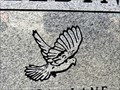 Image for Teeresa Lane Peedin - Oakwood Cemetery - Raleigh, North Carolina, USA