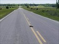 Image for Painted Turtle Crossing - Bromide, OK
