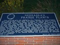 Image for Nebraska's Prairie Plants  