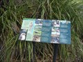 Image for Native Birds, Bird Spotters Walk - Hyams Beach, NSW
