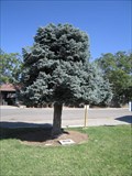 Image for Freedom Tree POW/MIA Memorial - Yucaipa, CA