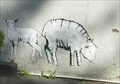 Image for Sheep Graffiti, Leominster, Herefordshire, England