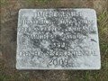 Image for Brooks County Courthouse Centennial Time Capsule - Quitman, GA