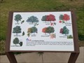 Image for Tree Mitigation Plantings - Briercliff Park - Denton, TX