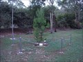 Image for Lone Pine Memorial, Hunter Region Botanic Gardens, Raymond Terrace, NSW, Australia