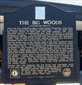 Image for The Big Woods