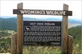 Image for Wyoming's Wildlife - Weston County, WY
