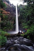 Image for Lone Creek Falls - Sabie, South Africa
