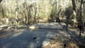 Image for Tickfaw State Park Campground - Springfield, LA