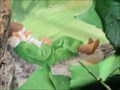 Image for Gnomes [Elves] Hidden at Museum - Denver, CO