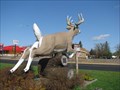 Image for Huge Deer in Deerwood, Minnesota