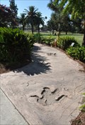 Image for Dinosaur Trackway