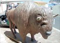 Image for Catalina Island Museum Bison  -  Avalon, CA