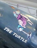 Image for P2V-1 Neptune - Truculent Turtle - Pensacola, Florida, USA