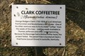 Image for Clark Coffeetree - Unionville, MO